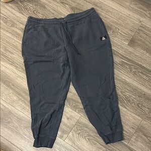 Reebok Steel Blue Jogger Pants